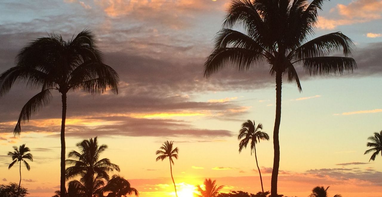 Maui Sunset Outdoors